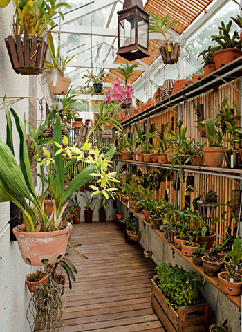 orquidario2